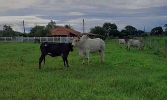 Imagem 7: Fazenda /Saída Pirapora...202 Hectares!!!!2 Km Margem De Rio...