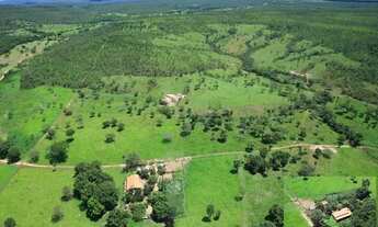 Imagem 5: Fazenda em Ponte Alta. Beira do asfalto. Troca