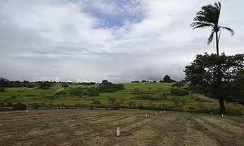 Imagem 5: Lotes em São Gonçalo dos Campos