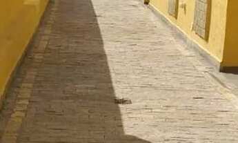 Imagem 3: Lindo Apto com 2 quartos na Enseada