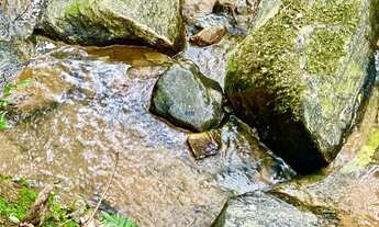 Imagem: Terreno a venda em Contenda no Paraná de