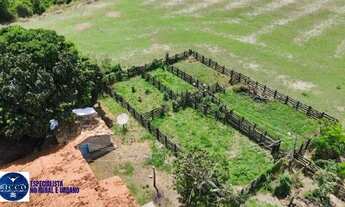 Imagem 3: Fazenda à venda em São Miguel do Passa Quatro - GO