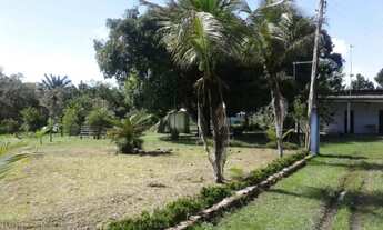 Imagem 7: Terreno na pista da AM-010, Km 51 com 1.000.000m2 - 860 mts de frente. Menor Preço. Docume