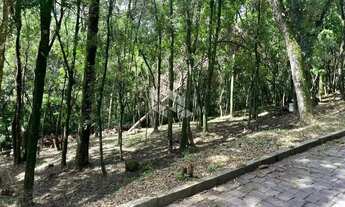 Imagem: Terreno com 2556m² Linha 40 no Bairro Nossa