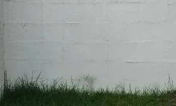 Imagem 7: Aluga-se Apartamento de Dois Quartos com Garden na Hélio Gueiros