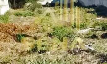 Imagem 5: Terreno à Venda com Grande Potencial! Oportunidade Única para Investidores e Empreendedor