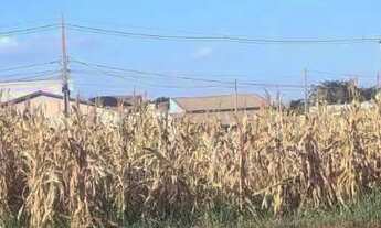 Imagem 4: Terreno Jardim Bela Vista Ouroeste