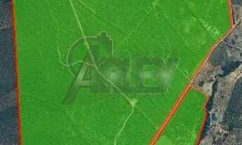 Imagem 3: FAZENDA INHAÚMA -À VENDA-Ideal para Cafeicultura Irrigada