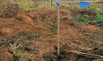 Imagem 4: Lote 200m² de esquina 26 de Setembro