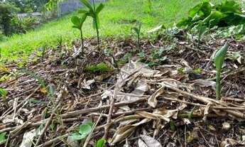 Imagem 4: Terreno à venda, 560 m² por R$ 135.000,00 - Serra Grande - Niterói/RJ