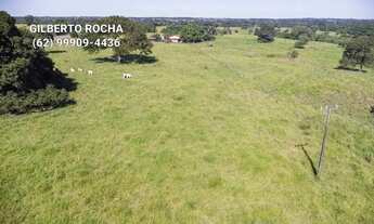 Imagem: Chacara completa localizada entre Araguapaz