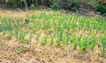 Imagem 2: Terreno Terreno / lote com venda por R$9.100