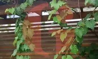 Imagem 7: Casa em condomínio para locação com 3 quartos sendo 1 suíte- 250 m² de terreno Urbanova