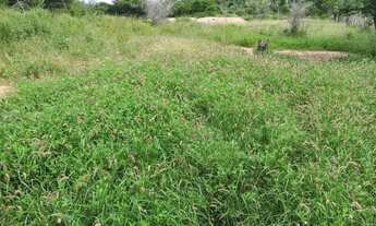 Imagem 5: FAZENDA RURAL em IBIQUERA - BA, CHAPADA DIAMANTINA