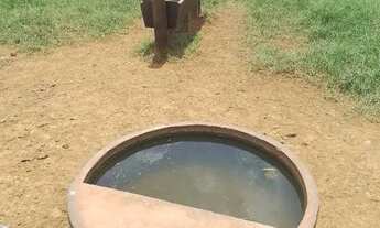 Imagem 2: Chácara de 3 alqueires em Adelandia-Go