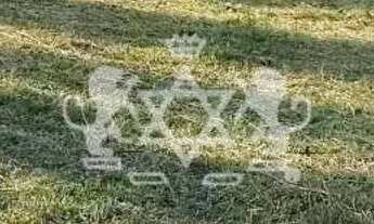 Imagem 5: Terreno à venda, Balneário Recanto do Sol, Caraguatatuba, SP