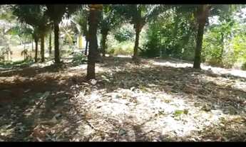 Imagem 3: Vendo terreno em lagoa redonda bem localizado de procedência