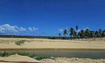 Imagem 7: Um verdadeiro paraíso com excelente preço - Lote Pé na Areia - Rainha dos lotes.