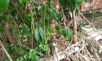 Imagem 4: Vendo terreno Terreno / lote com venda por R$30.000