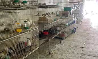 Imagem 2: Pet Shop a venda na zona leste