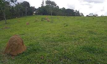 Imagem 2: Fazendinha 20.000m2 em Piedade Gerais