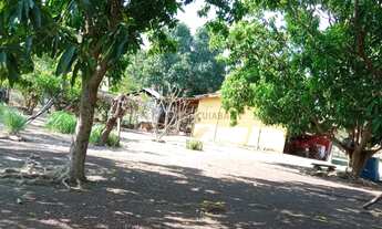 Imagem: Sítio de 30 hectares no assentamento comunidade