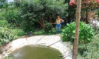 Imagem 6: Casa pequena e simples em 2 lotes de 360 metros cada, murado, próximo ao asfalto, com agua