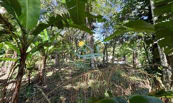 Imagem 3: Terreno à venda, 3000 m² por R$ 649.000 - T Pequeno - São Sebastião/SP