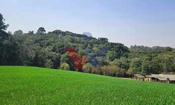 Imagem 2: Área de 20.000 m para Chácara Próxima a Araucária Ótima Oportunidade