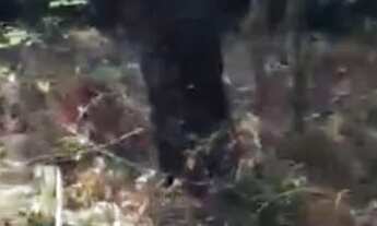 Imagem: Lote grande na Quinta do Sumidouro