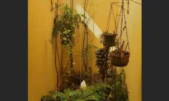 Imagem 6: Casa à venda com 2 dormitórios em João aranha, Paulinia cod:2646