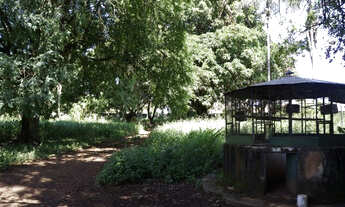 Imagem 2: Lote 10 mil m2- Novo Gama -Jardim Pedregal- metros do centro