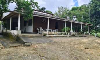 Imagem 3: Propriedade Rural em Escada-PE com 30 hectares, a 150 metros das Margens da BR-101