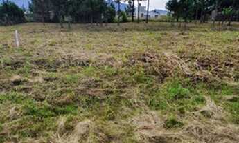 Imagem 5: Terreno em Passagem do Maciambu