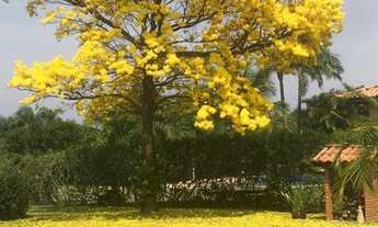 Imagem 7: Casa de condomínio para venda com 433 metros quadrados com 4 quartos