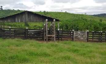 Imagem 6: Fazenda com 25 alqueires, com 19 alqueires de Pastos - Novo Repartimento - PA