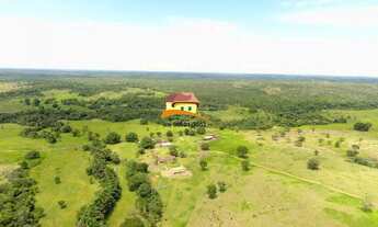 Imagem 4: Fazenda para Venda em Nova Rosalândia
