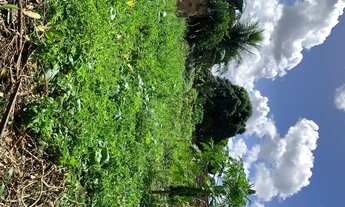 Imagem 7: Vendo galpão na Cascalheira