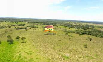 Imagem 2: Fazenda para Venda em Nova Rosalândia