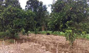 Imagem 2: Terreno 1.260,00,m², frente cercada, lugar alto linda vista, plano