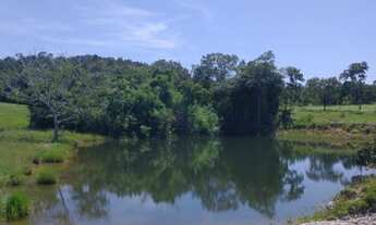 Imagem 2: Oportunidade! Vende-se um espetáculo de fazenda de 50 Alqueires