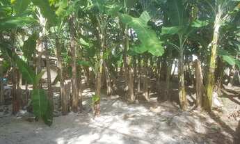 Imagem 7: TERRENOS EM LAURO DE FREITAS