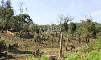 Imagem 3: TERRENOS RESIDENCIAS