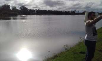 Imagem 5: Oportunidade! Vende-se um espetáculo de fazenda de 50 Alqueires