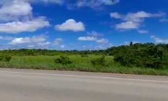 Imagem: Fazenda com 220 hectares em Rorainópolis