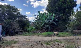 Imagem 7: Lotes de 420m² próximo ao Fórum Estadual no Barro Duro