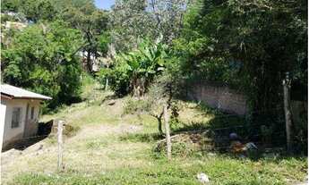 Imagem 4: Porto Alegre - Casa Padrão - Partenon