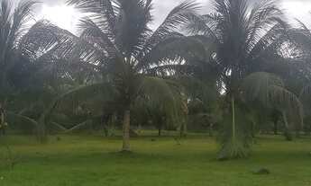 Imagem 3: Sítio em Itacoatiara com 15.000m²