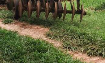 Imagem 5: FAZENDA COM 82 ALQUEIRES EM GENERAL SALGADO-SP