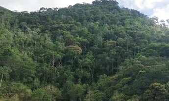 Imagem 2: Linda chácara para quem quer sossego descanso e paz